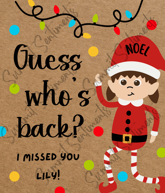 Elf Boy or Girl Mini Banner